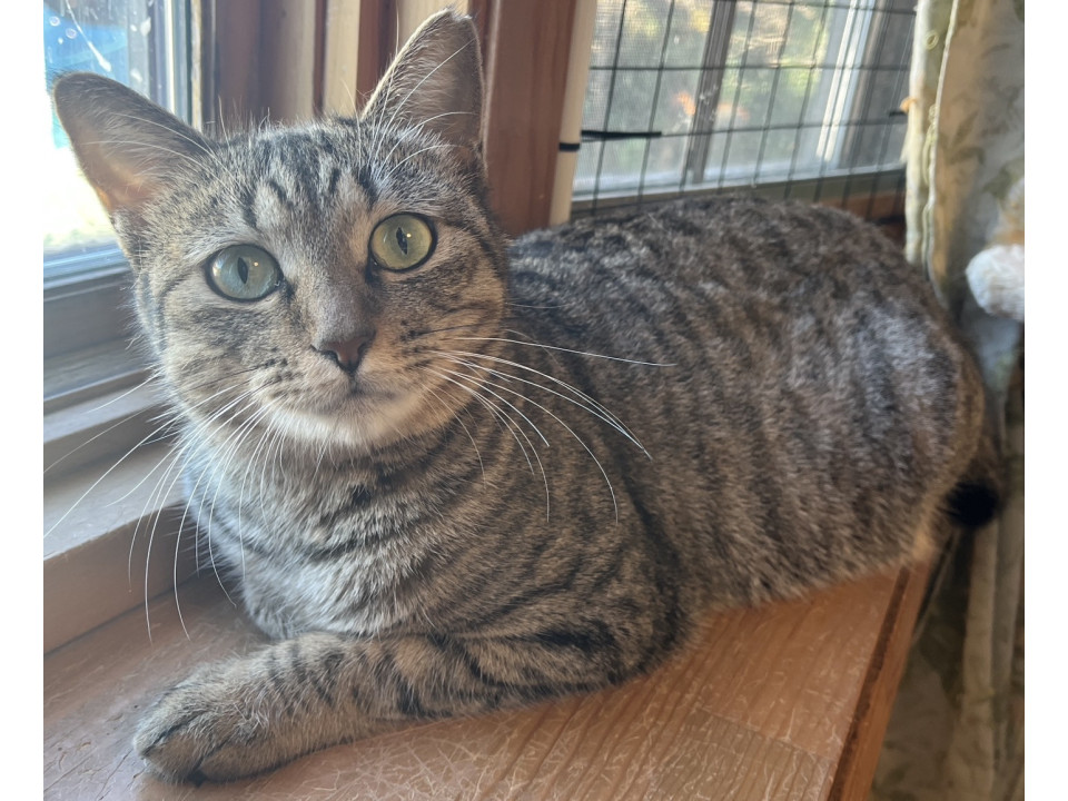 マリアンナ☆2-3歳くらい