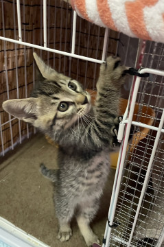 8月26日生まれの元気なかわいい男の子