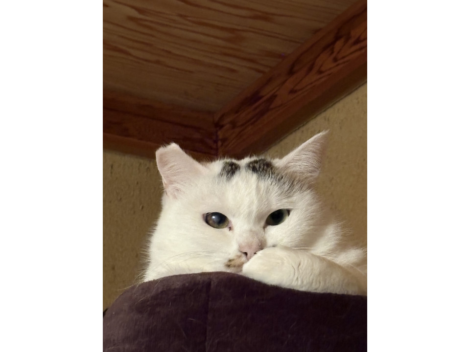 ぽっちゃり風太くん