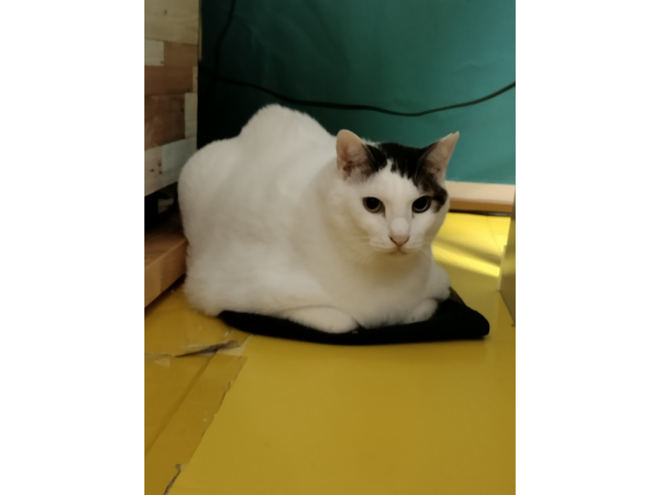 ﾀﾞｲｸﾛｲｯｸｱｲな気弱な男の子