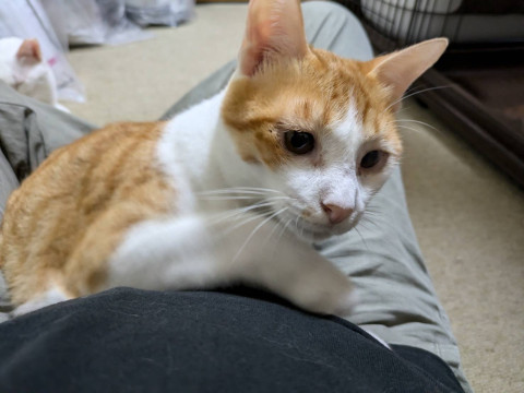 おおらかで人が大好き♡サン君