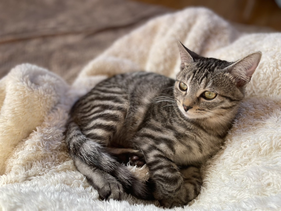 まんまるお顔の★ どちおくん