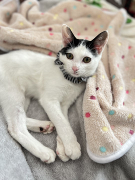 かわいいお顔のおっとりboy