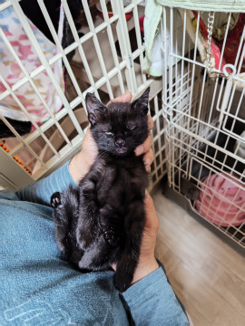 写真写りが最高な白パンツくん