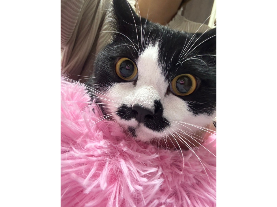 愛称はまめちゃん♡慣れたら甘えん坊よ♡