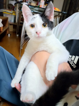 人大好き まゆ