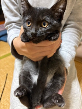 何でも一番に出来るようになる賢い子