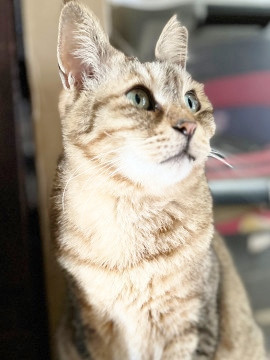 ほんとはとっても甘えん坊❤