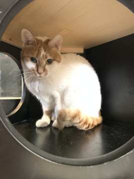 人見知りなてぃーちゃん