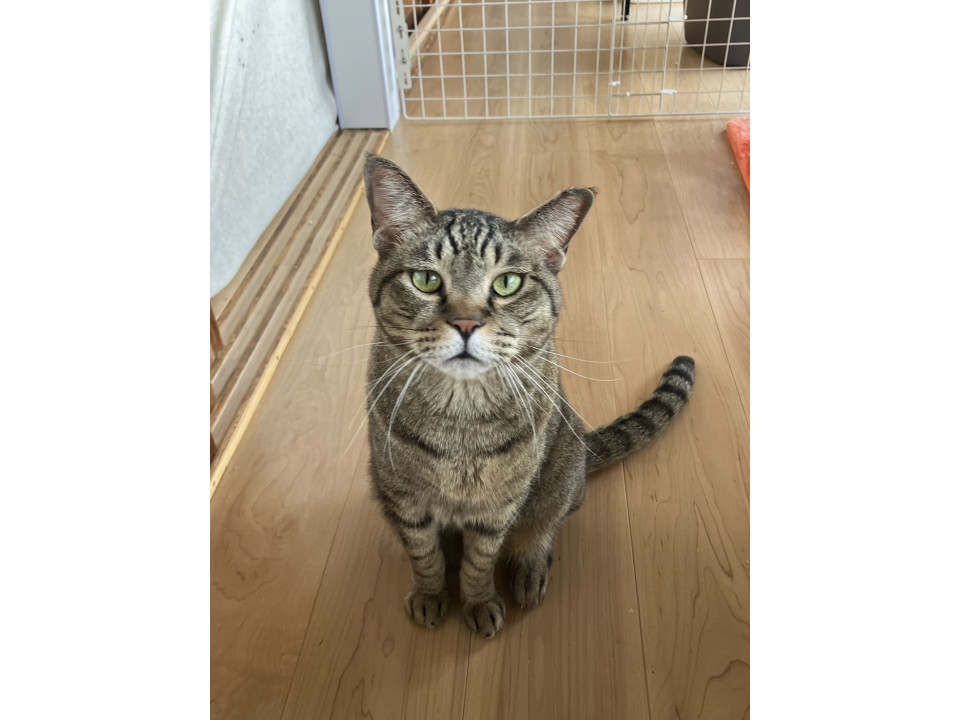 穏やかな可愛いレン君