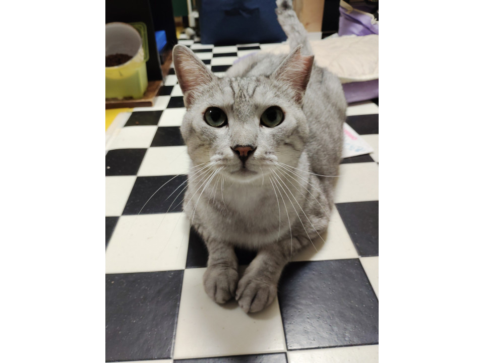 大きくて、とても優しいイケメンボーイ