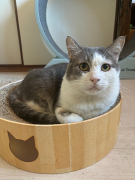 心の器は宇宙一！穏やかなボス男くん♡