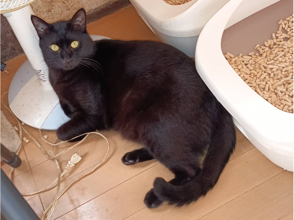 黒男の子★2才