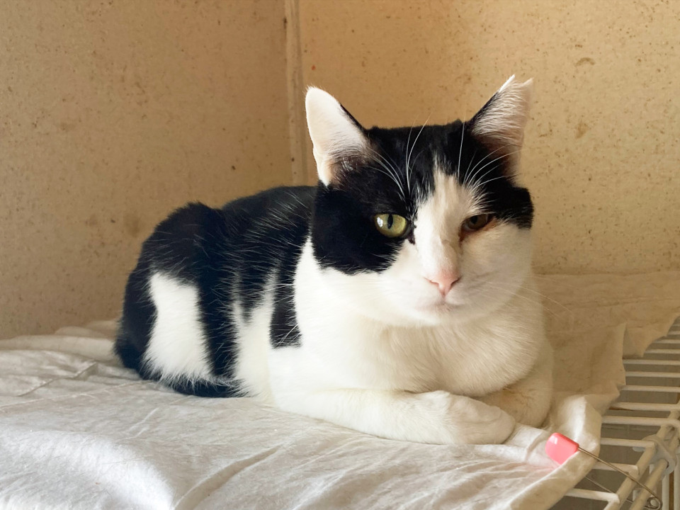 白黒女の子★2才