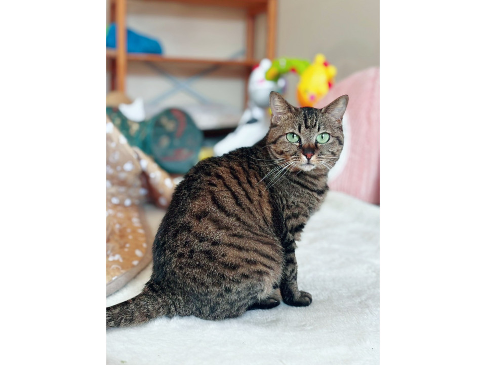 グリーンの瞳が綺麗！小柄なリズちゃん⭐︎