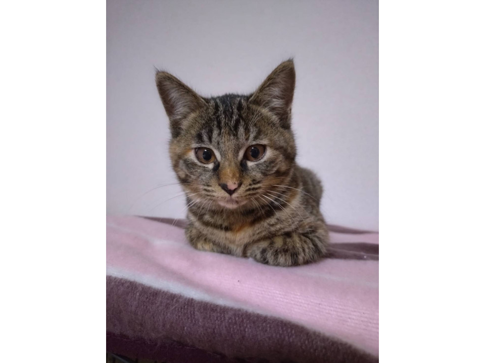 少しシャイなメイちゃん