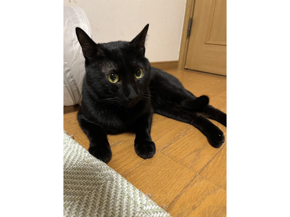 ホセ☆8歳くらい