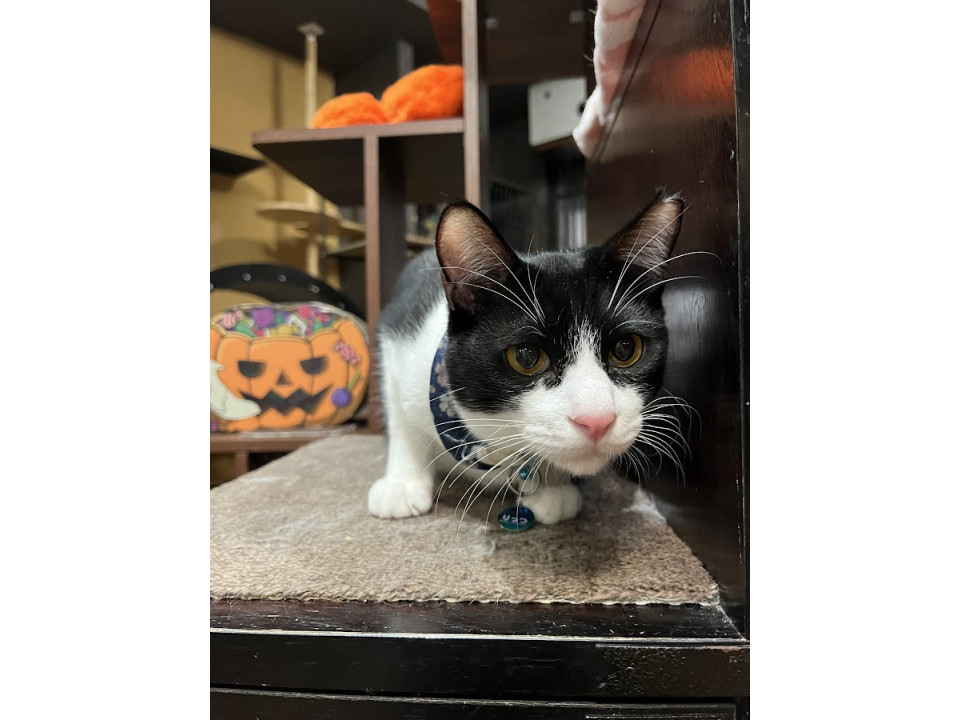 ごはん大好き☆りっつ