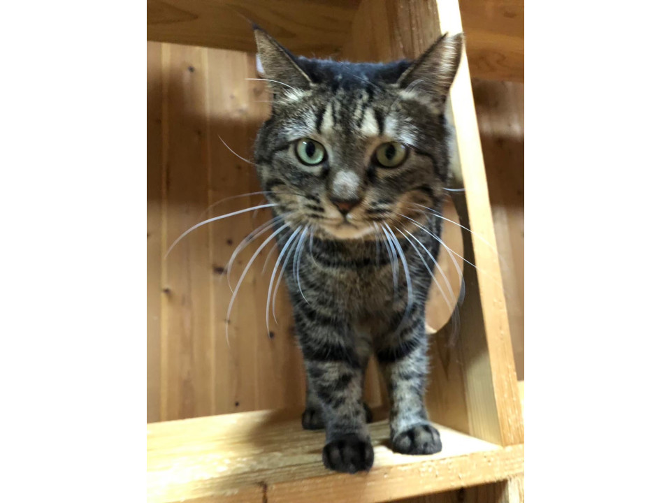 【動画あり】サッカー大好き！甘えん坊