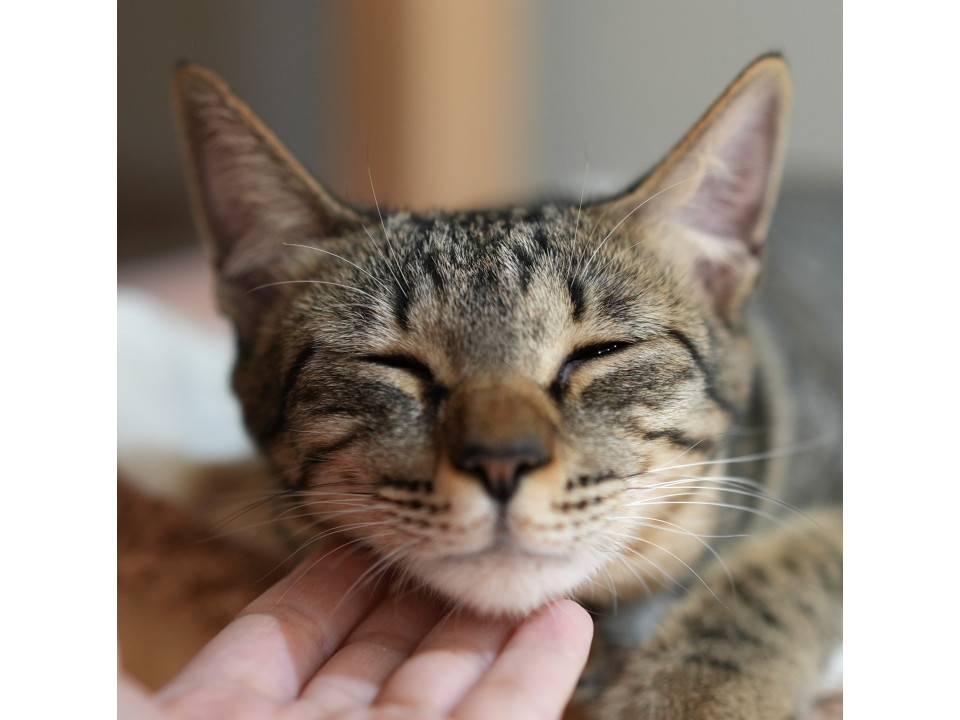すきすき~♡過去最強の甘えん坊ちゃん♡