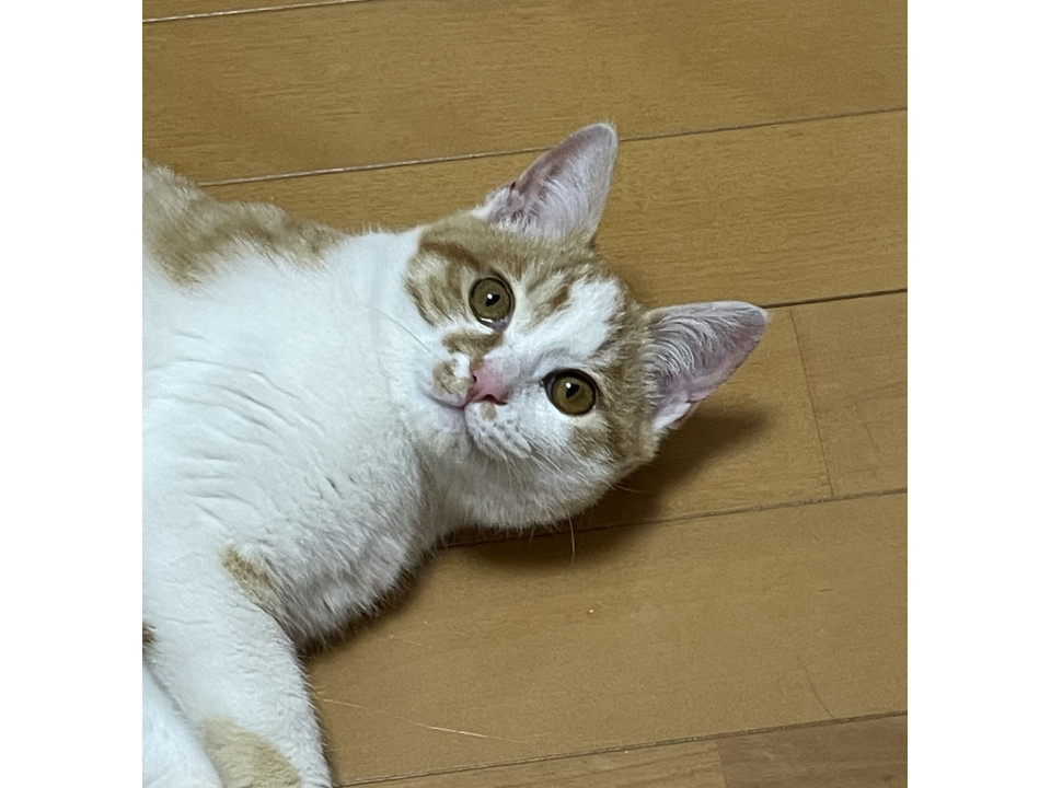 天真爛漫、桃姫ちゃん♡