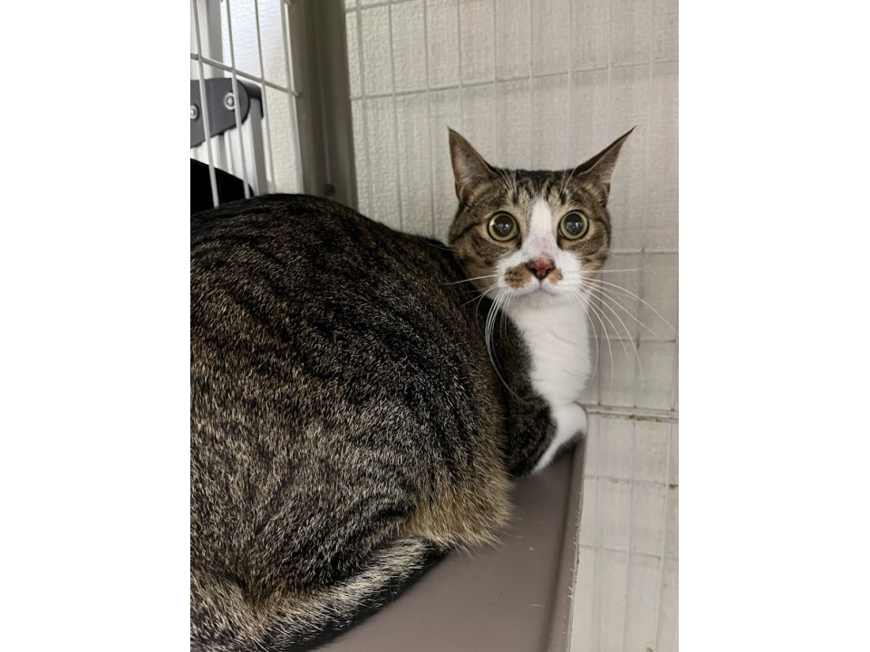 怖がりで頑張り屋☆彡きーくん