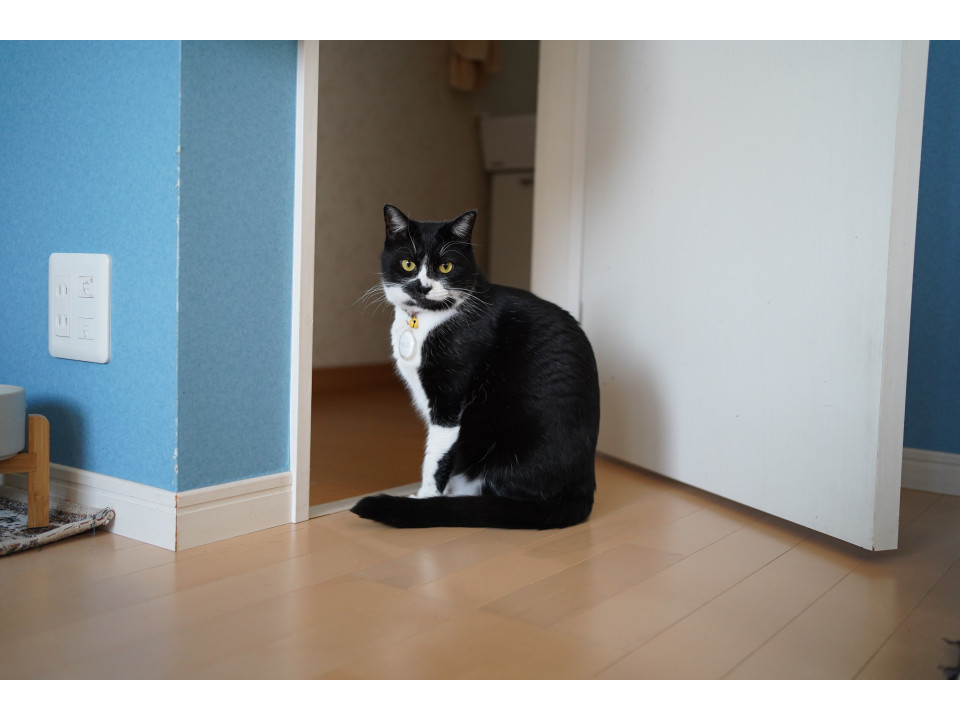 マイペースで優しいもちもちボディの女の子