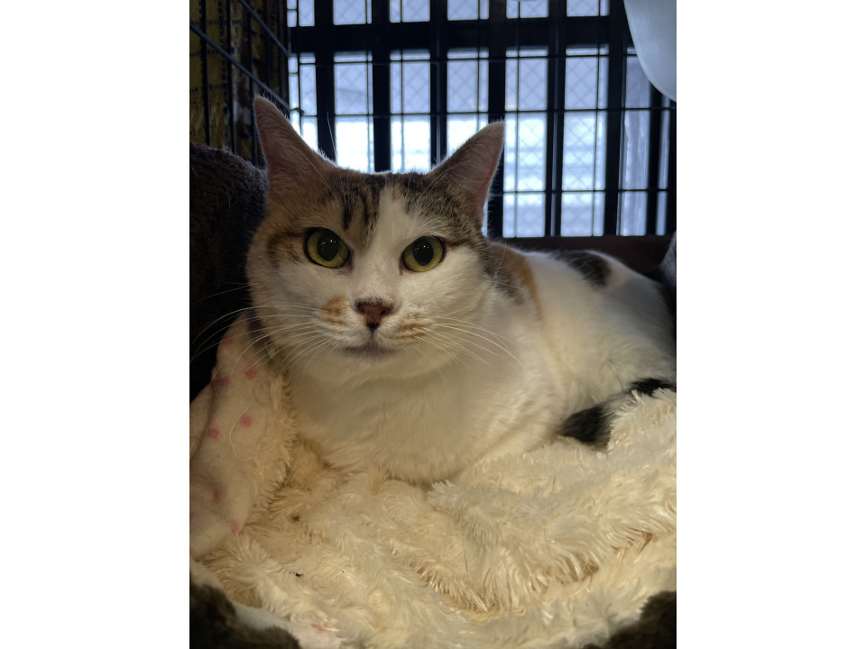 出産がんばりました☆ぱーるちゃん