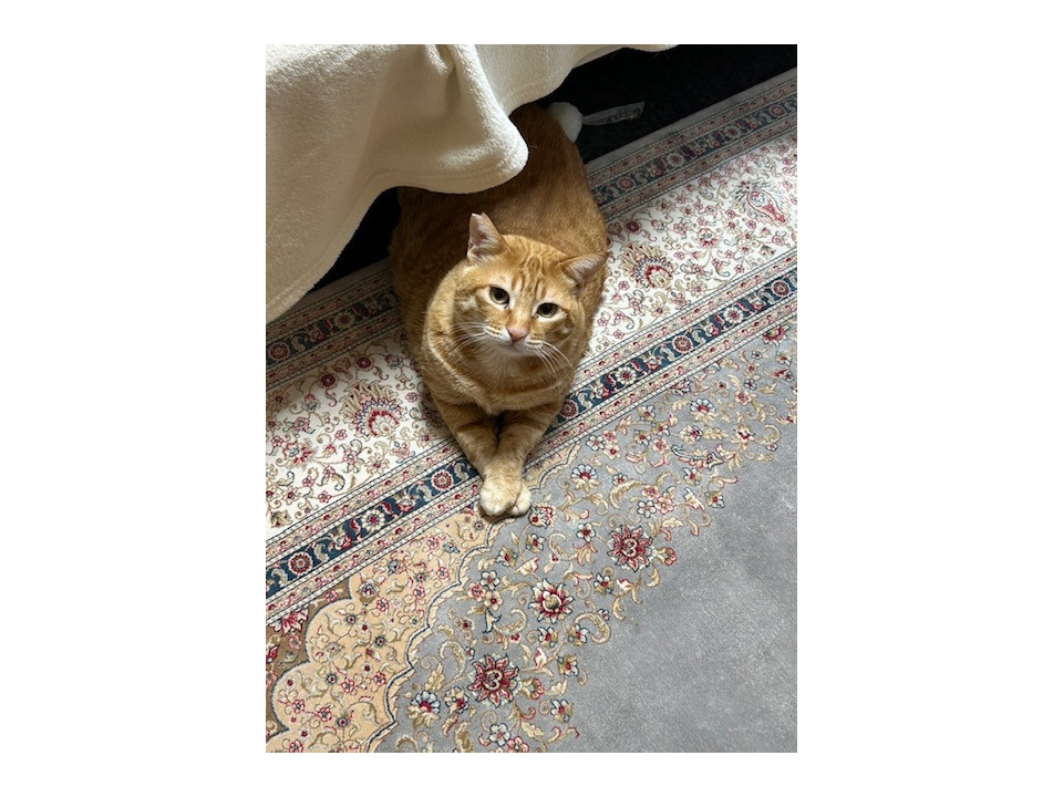 大きなカラダ優しい風ちゃん