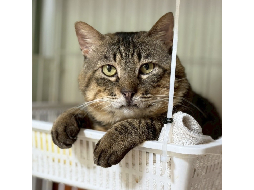 ちばボス王☆5歳くらい