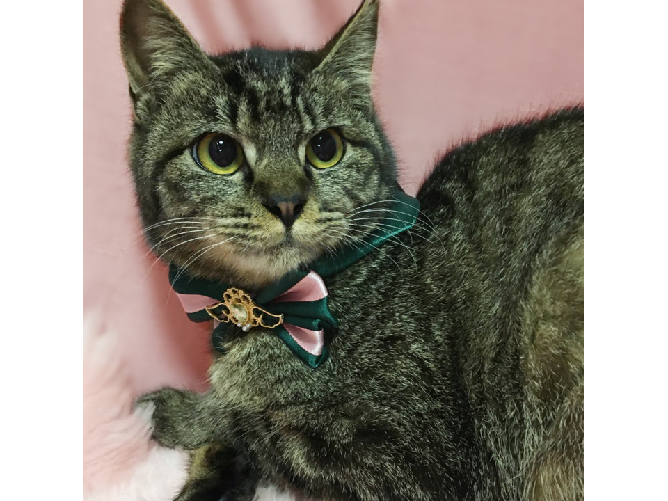 おちゃめな愛され妹キャラ『みりんちゃん』