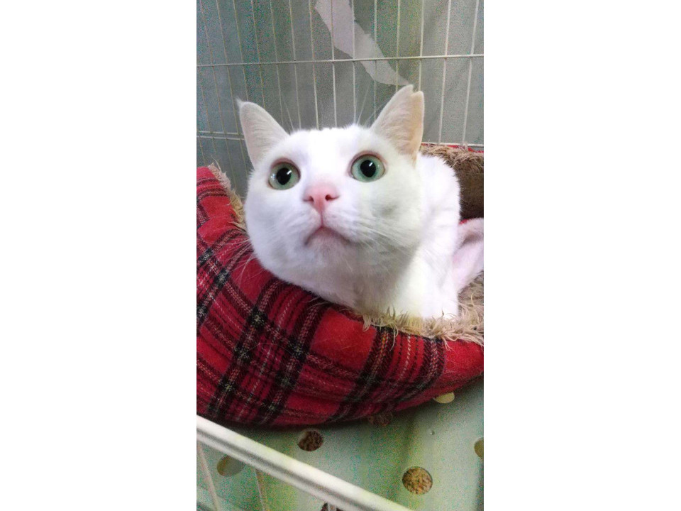 ゆきと君。素直で優しいハンサムボーイ。