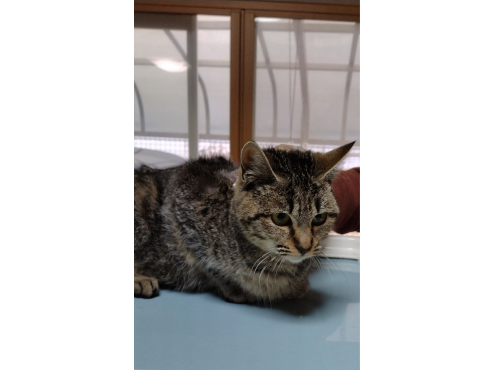 かわいいうみちゃんです