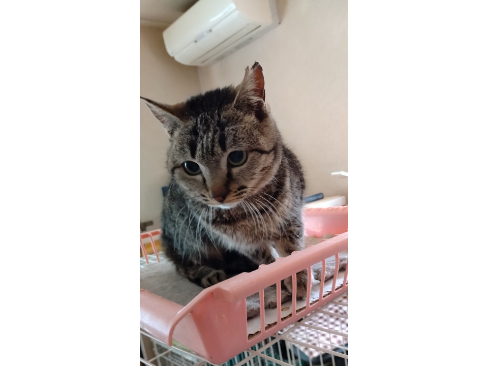 かわいいやまちゃんです