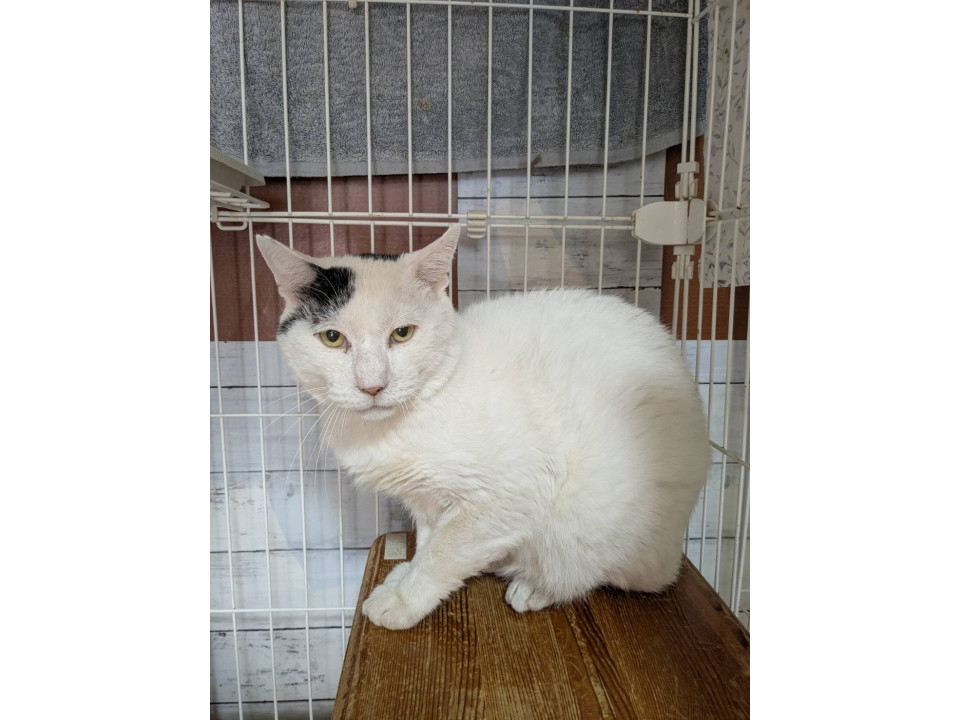 ブッチ☆2歳以上