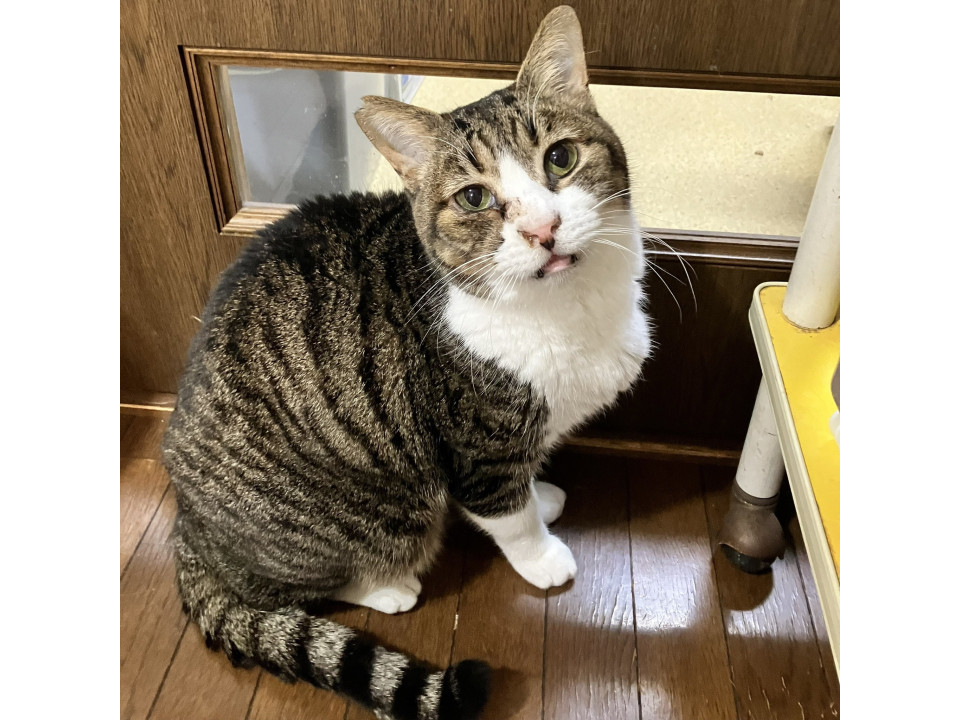 ちばふねお☆6歳くらい