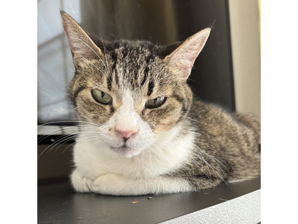 ちばキャン☆10歳くらい