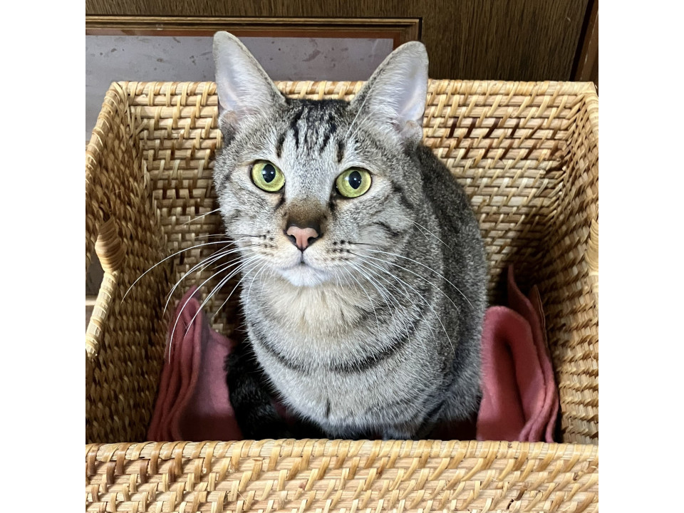 ちばハルト☆6歳くらい