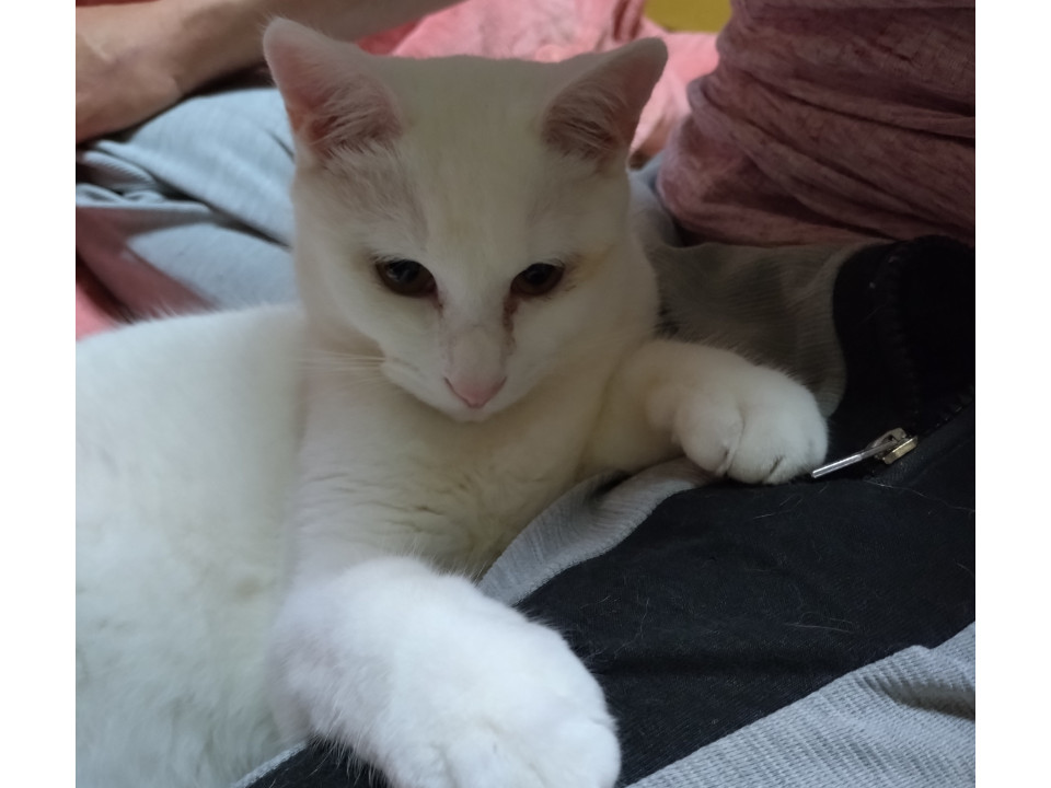 誰でも大好き　はく