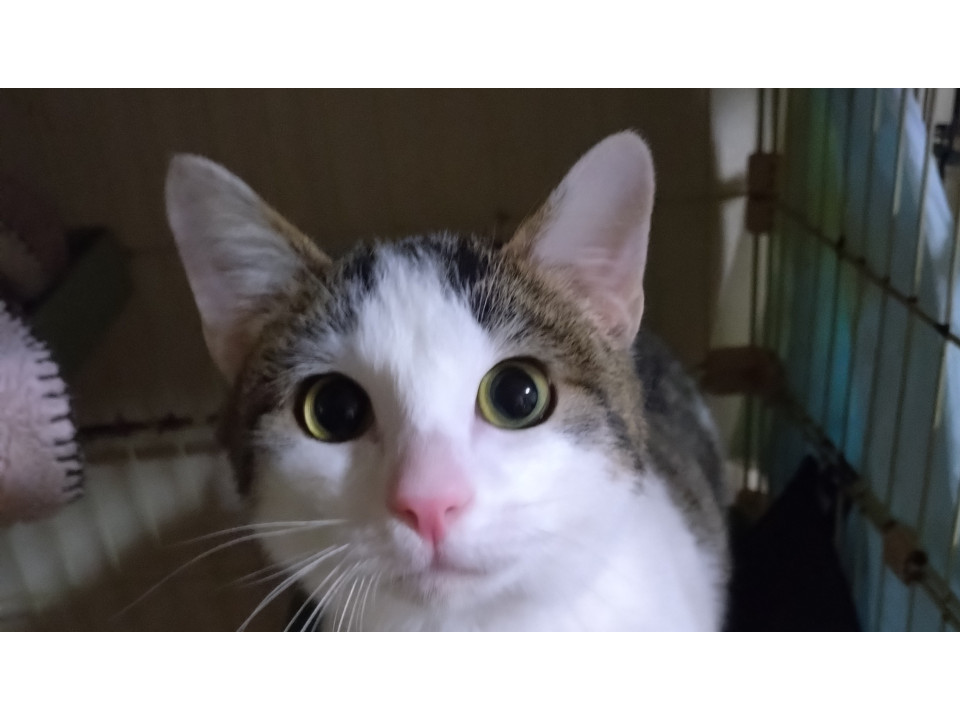 おめめぱっちり　うみ