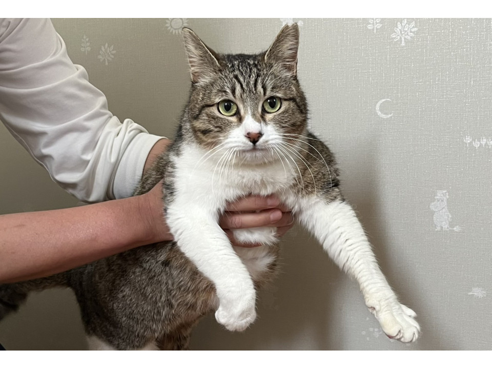 ちょ～甘えん坊なみーちゃん♡