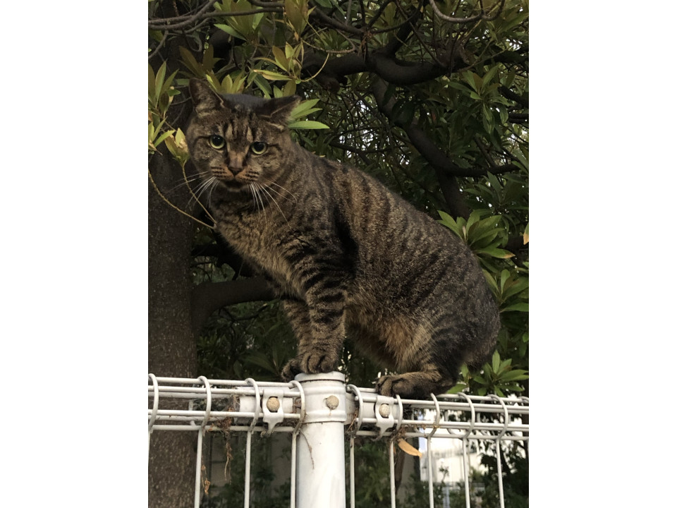 はじめまして‼️ ちぃたんです ❤️