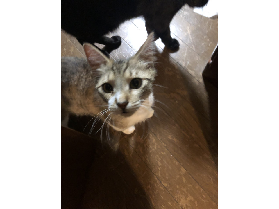 甘えん坊の春くん