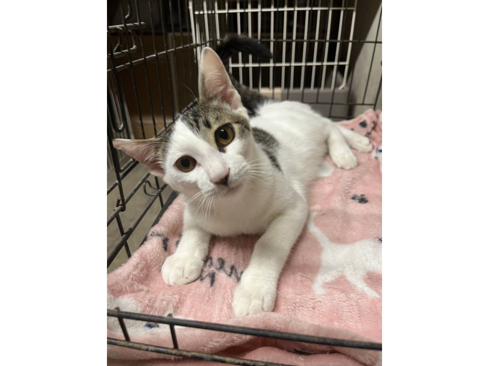 人が好き。甘えん坊♪動画あり！