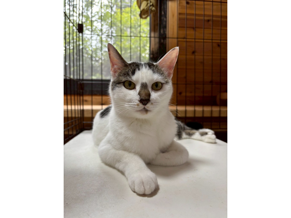 【動画あり】ヘソ天ボーイ♪遊ぶの大好き！