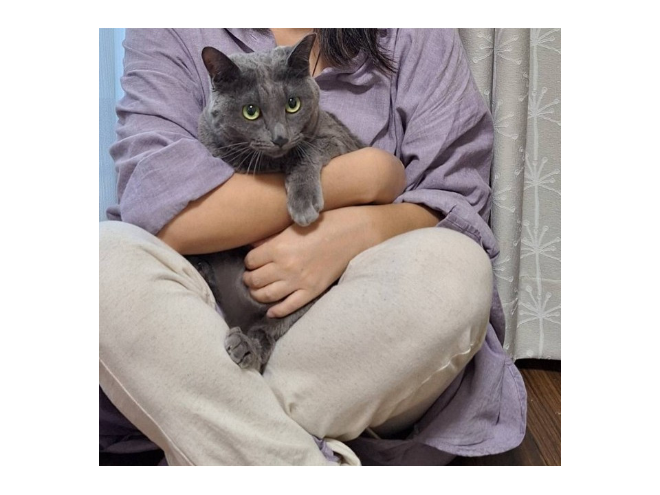 甘えん坊なビビりなグレーちゃん