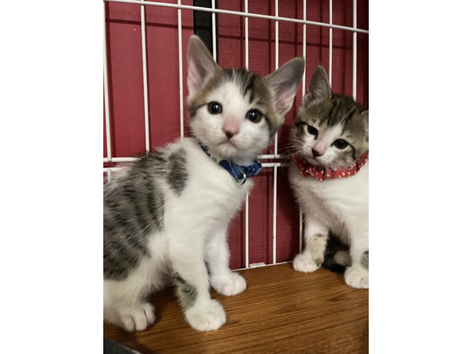 遊び大好き☆そうまくん