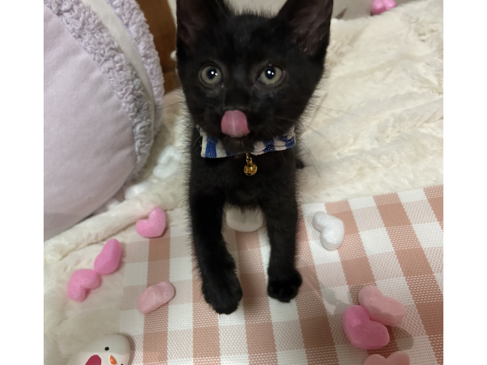 マイペースな男の子スーくん♡