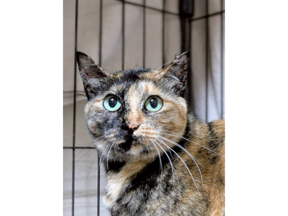 12/21カインズ浦和美園参加