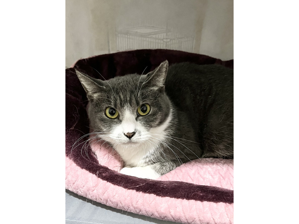 控えめ×甘えん坊のみかちゃん